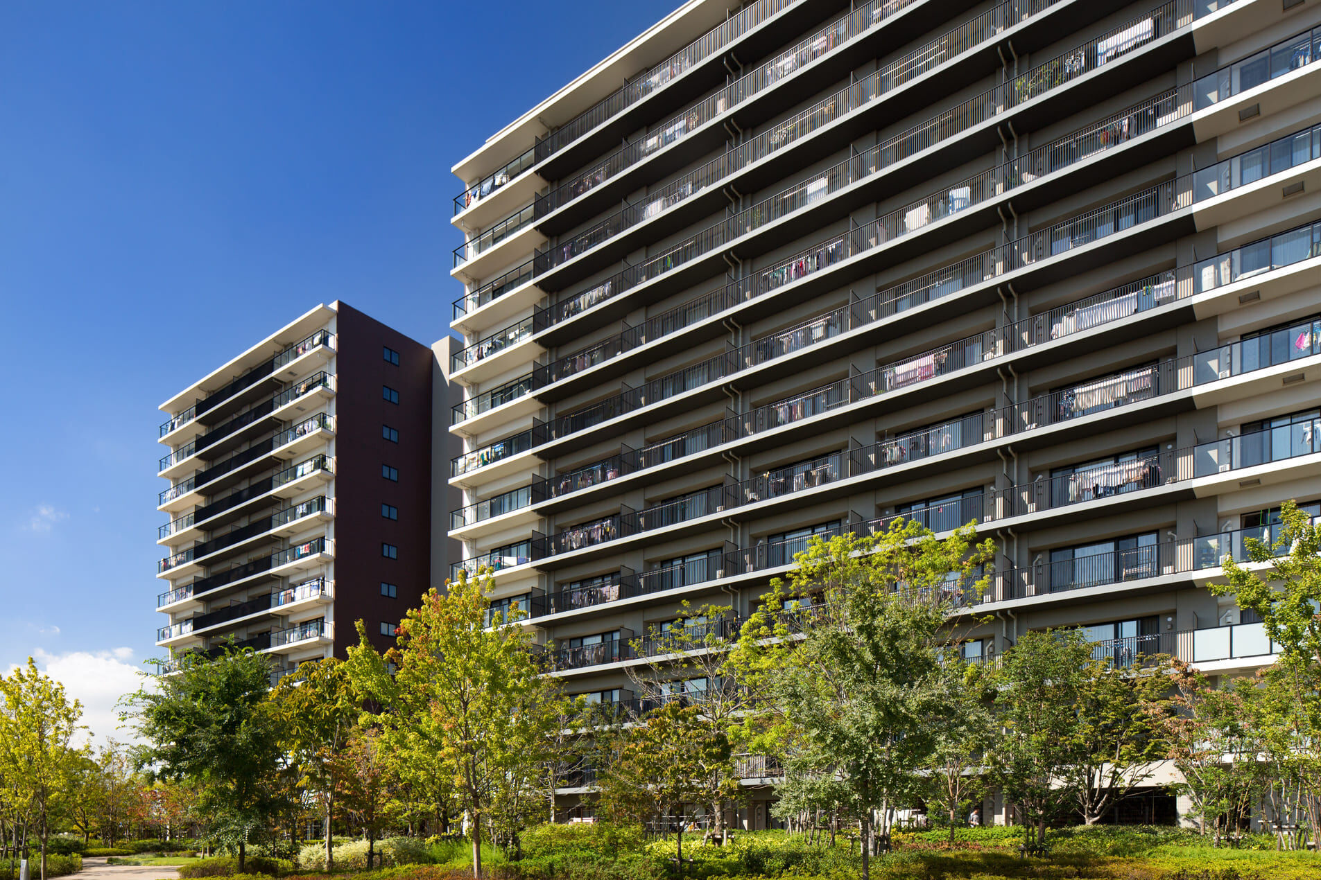 AdobeStock_176683422 - コピー