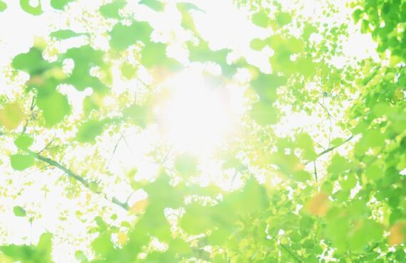 堺市不動産購入　新築戸建てなら【株式会社スムーズホーム】